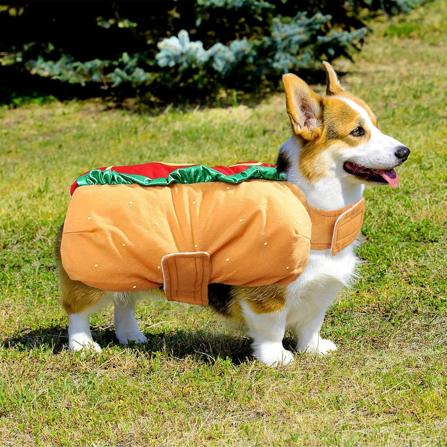 Get Your Pup Ready for Halloween with Our Hilarious Hot Dog Costume! 🐾🌭 Perfect for Small & Medium Dogs and Cats!