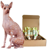 4-HAIRLESS PETS *DOG REGULAR KIT