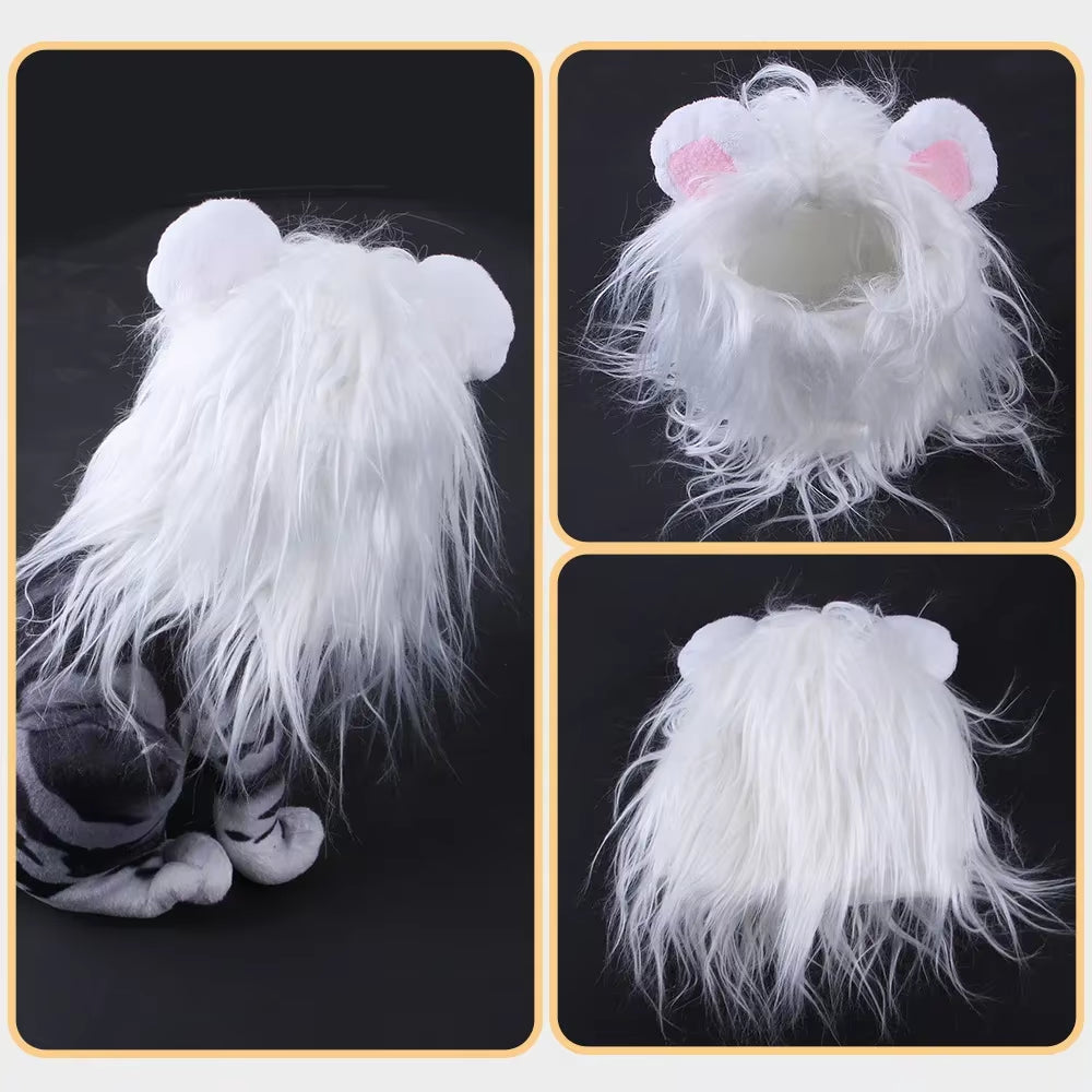 Transform your pup into a roaring lion this Halloween with our adorable lion headgear costume! Perfect for small dogs and even cats! 🦁🎃 #PetCostume #HalloweenFun