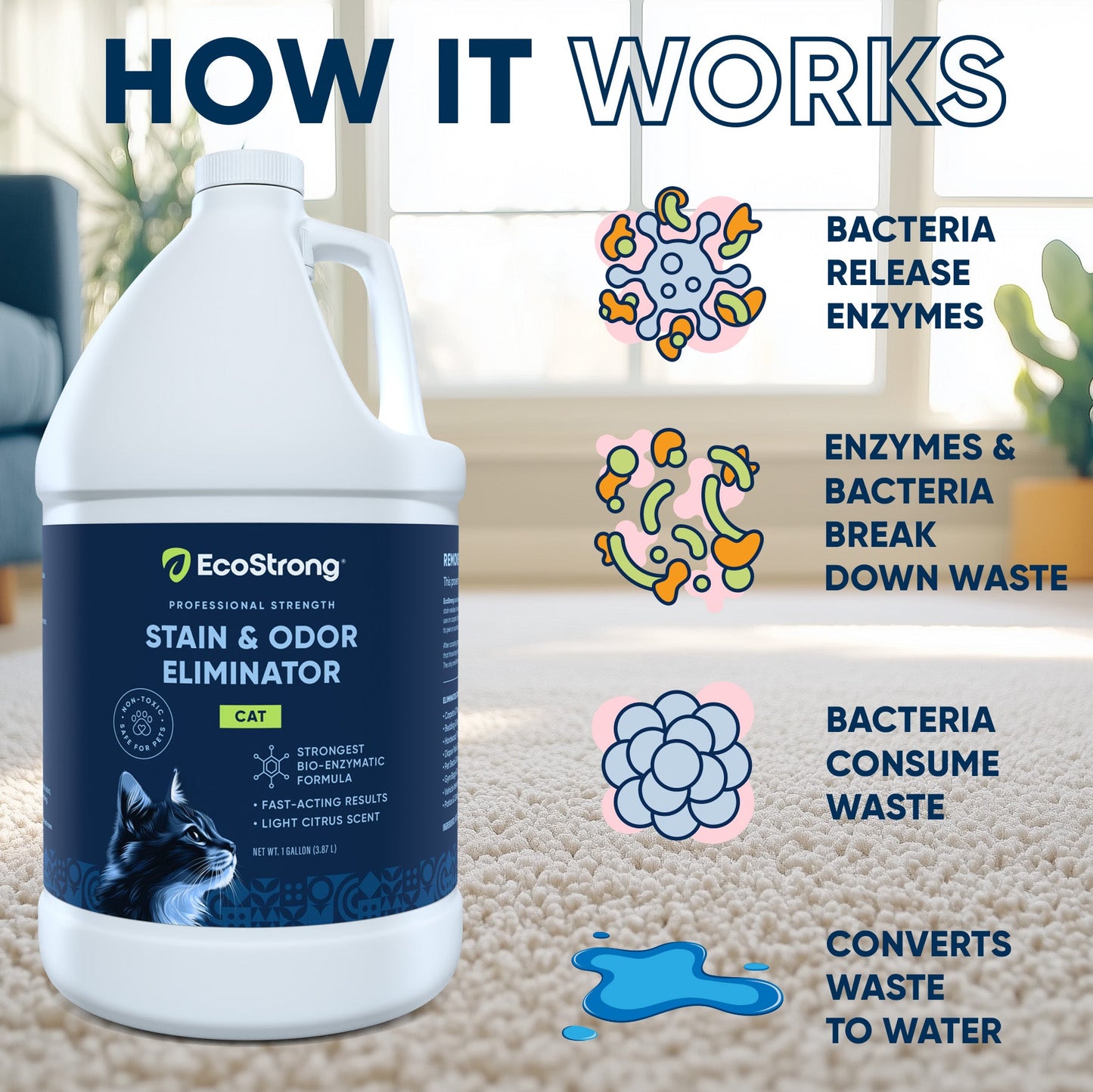 Cat Stain and Odor Eliminator