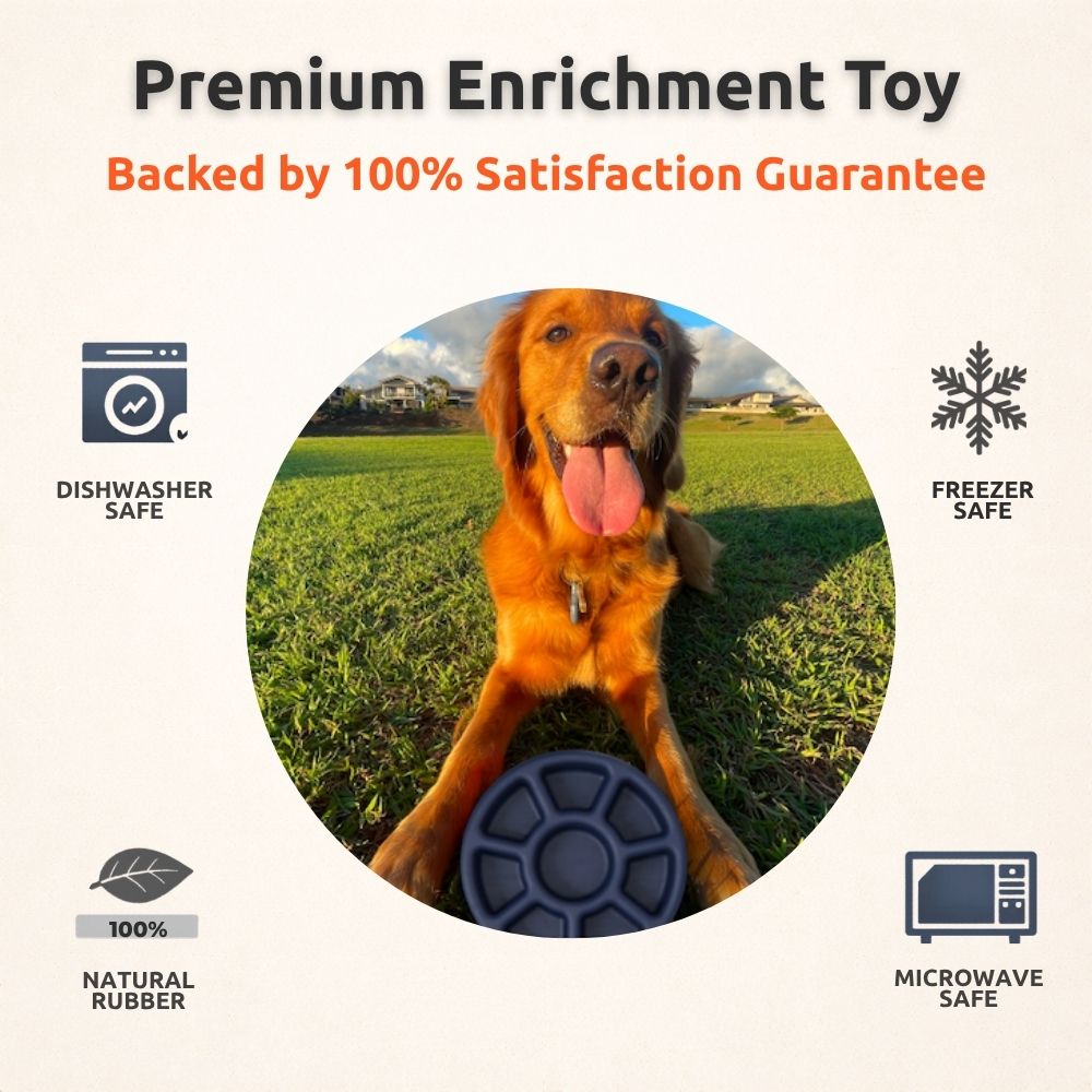 FreezWheel - Durable Interactive Chew