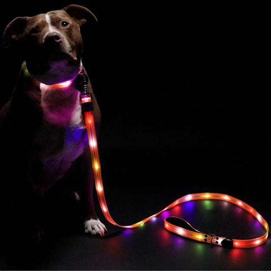 LED Dog Leash for Safe & Peaceful Evening Walks - High Visibility Light Up Dog Leash LED - Lighted Dog Leash - Light Up Leash - Dog Leash with LED Light - 6 Foot Dog Leash with Light New Version!