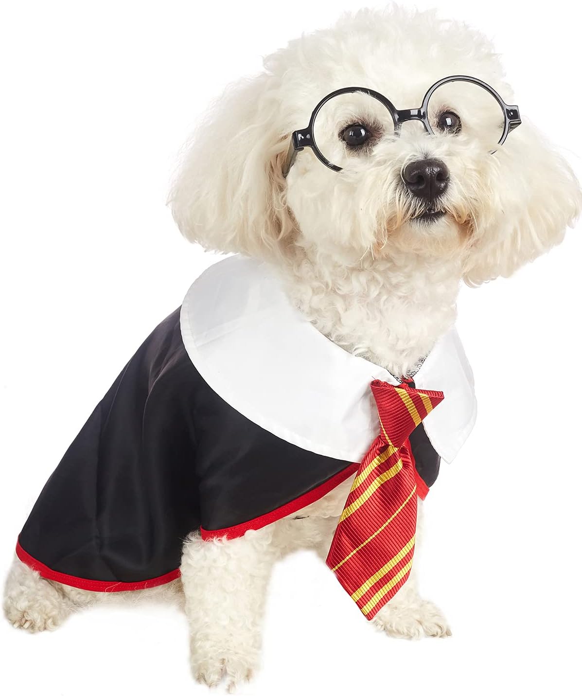 Get Your Pup Spooky Stylish This Halloween with Our Funny Cat Wizard Dog Shirt! 🎃👻 Soft, Cute, and Perfect for Trick-or-Treating! 🐾✨ (Large, Neck: 18")