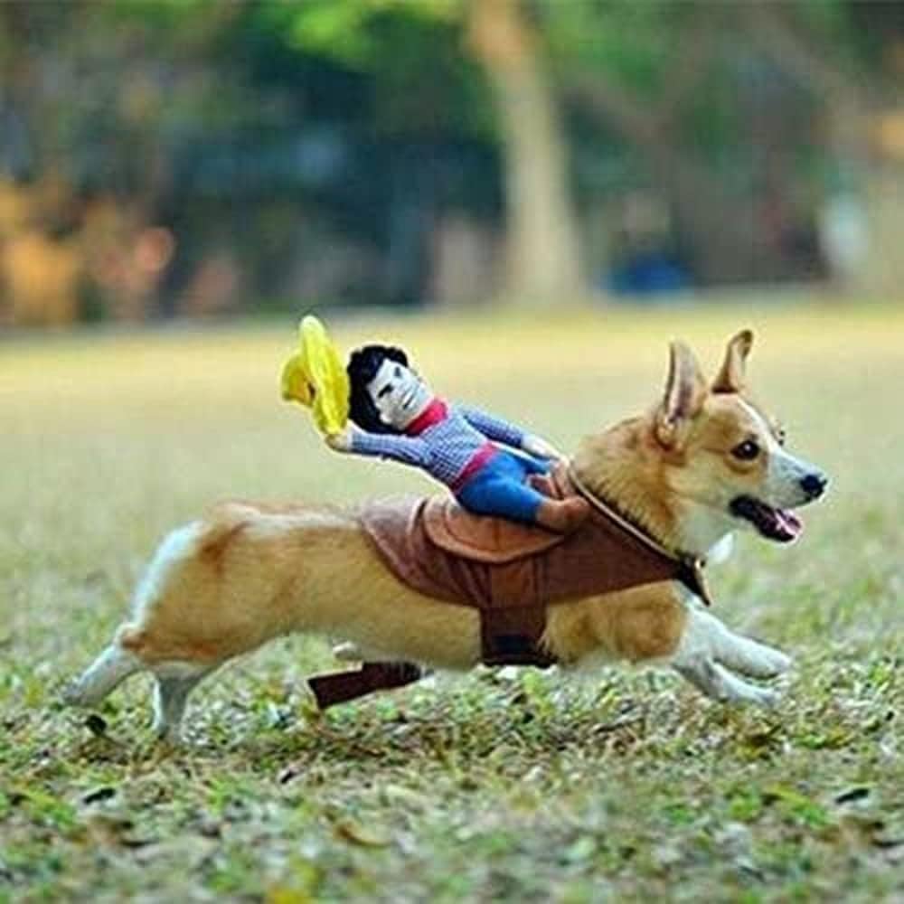 Get Your Pup Ready for Halloween with This Hilarious Cowboy Costume! Perfect for Parties and Cosplay! 🐶🎃👻 #PetCostume #HalloweenFun