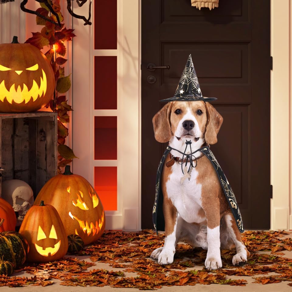 Unleash the Fun: Adorable Pet Show Costume Cape & Hat for Spooktacular Halloween and Everyday Adventures! 🎃🐾✨