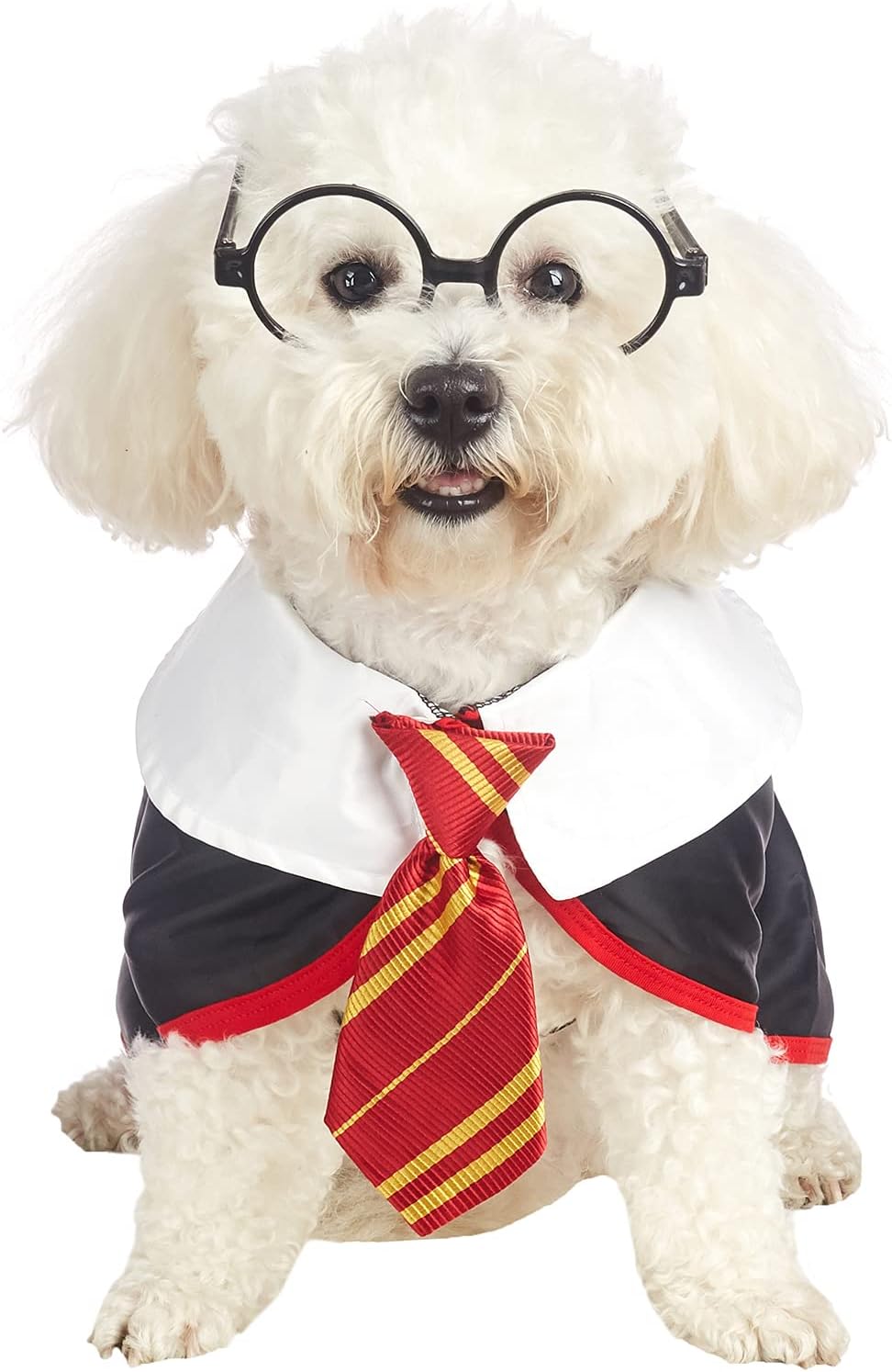 Get Your Pup Spooky Stylish This Halloween with Our Funny Cat Wizard Dog Shirt! 🎃👻 Soft, Cute, and Perfect for Trick-or-Treating! 🐾✨ (Large, Neck: 18")