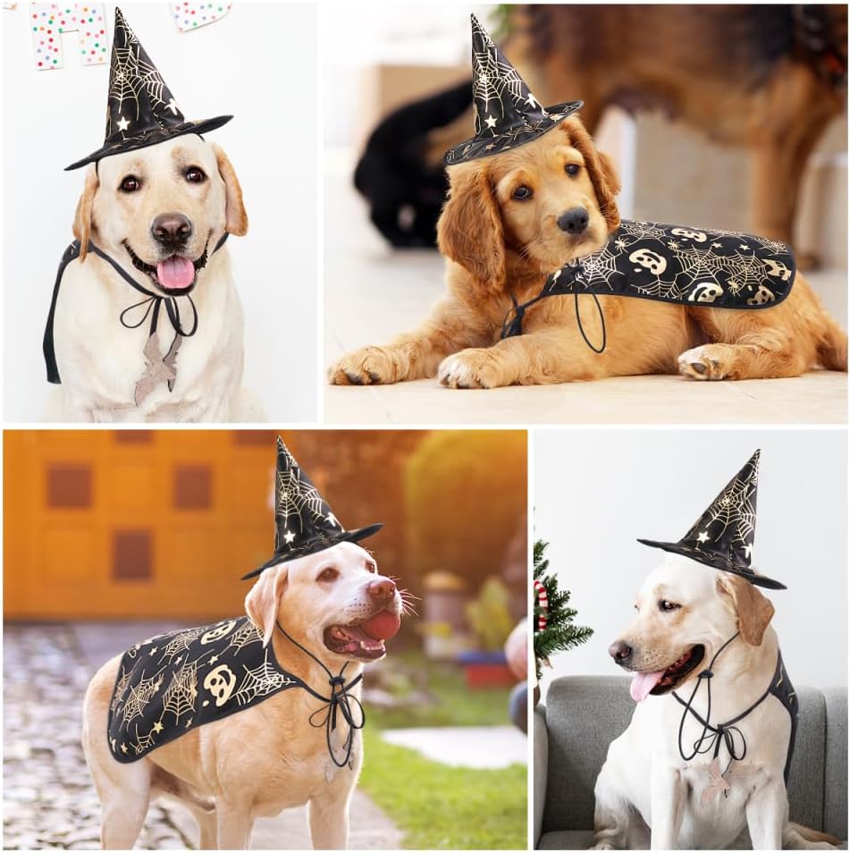 Unleash the Fun: Adorable Pet Show Costume Cape & Hat for Spooktacular Halloween and Everyday Adventures! 🎃🐾✨