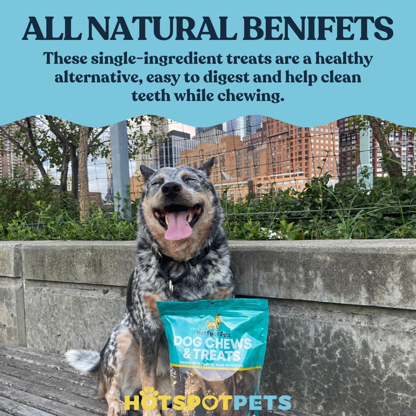 Beef Lung Dog Treats -1 Pound Big Bag - Slow Roasted, All Natural Dehydrated Premium Beef Lung Training Treats for Dogs - High Protein- Rawhide Alternative Snack for All Breeds