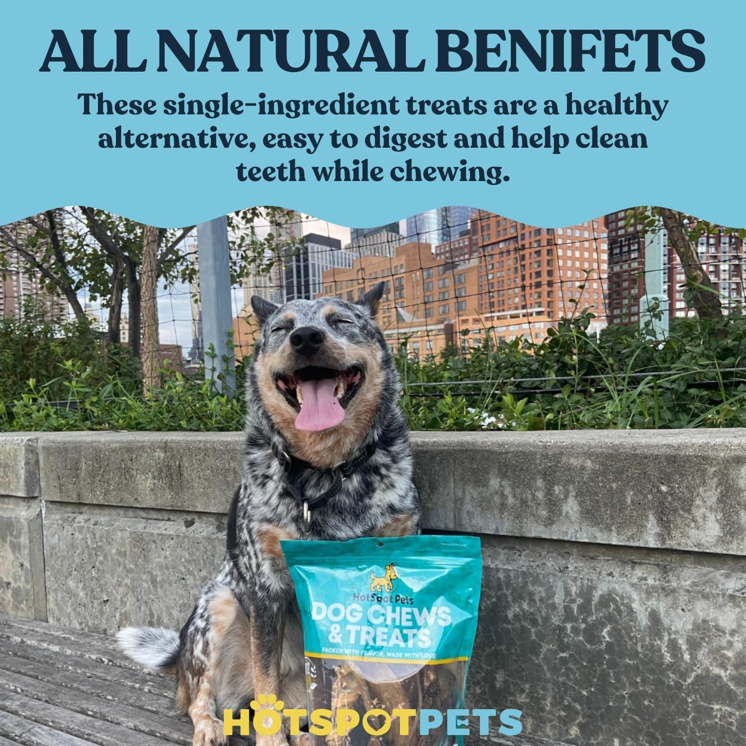 Beef Lung Dog Treats -1 Pound Big Bag - Slow Roasted, All Natural Dehydrated Premium Beef Lung Training Treats for Dogs - High Protein- Rawhide Alternative Snack for All Breeds