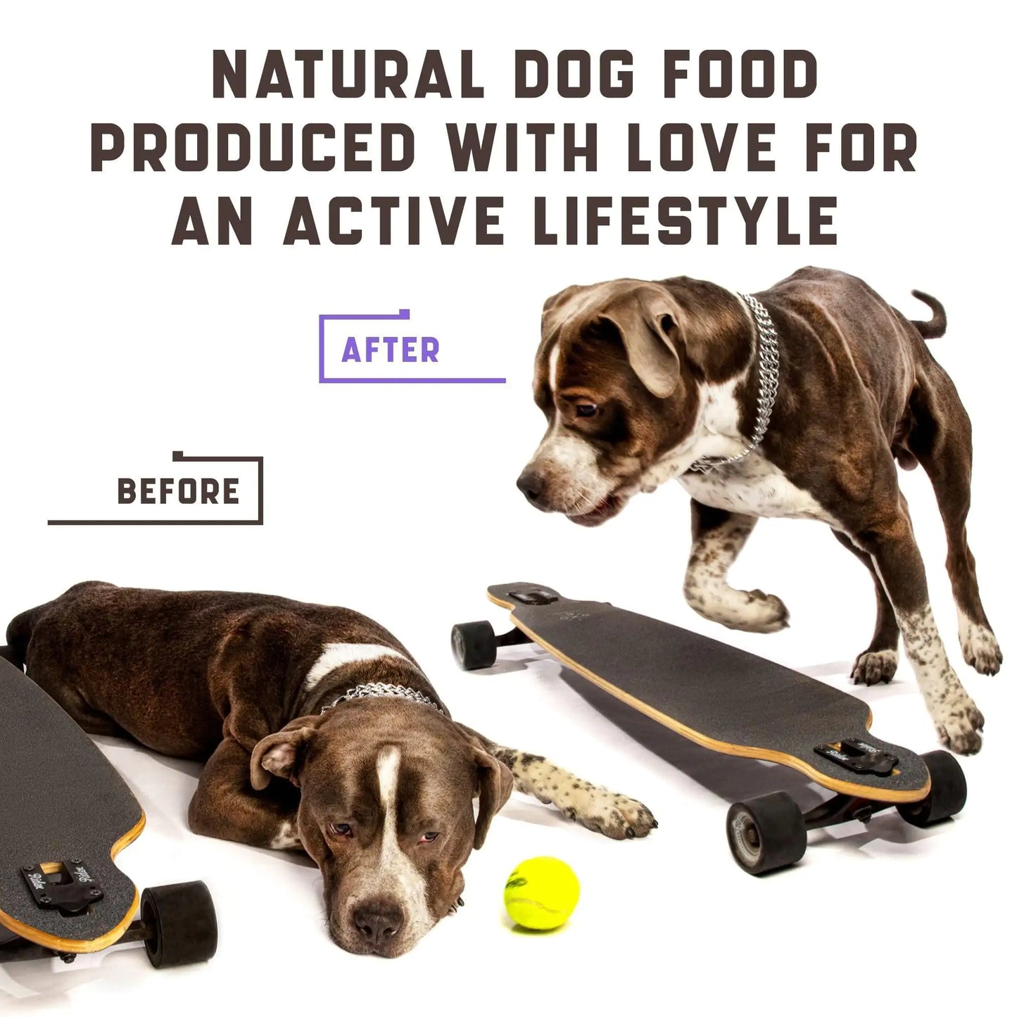 JointCare Plus Dog Supplement with Hemp & MSM