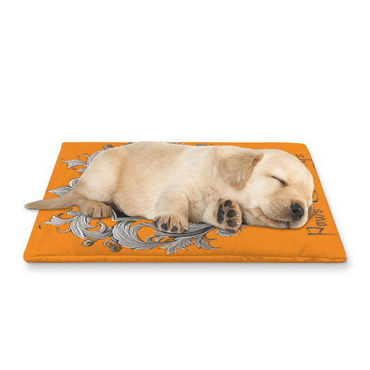 SPF Pet Cooling Mat - Orange