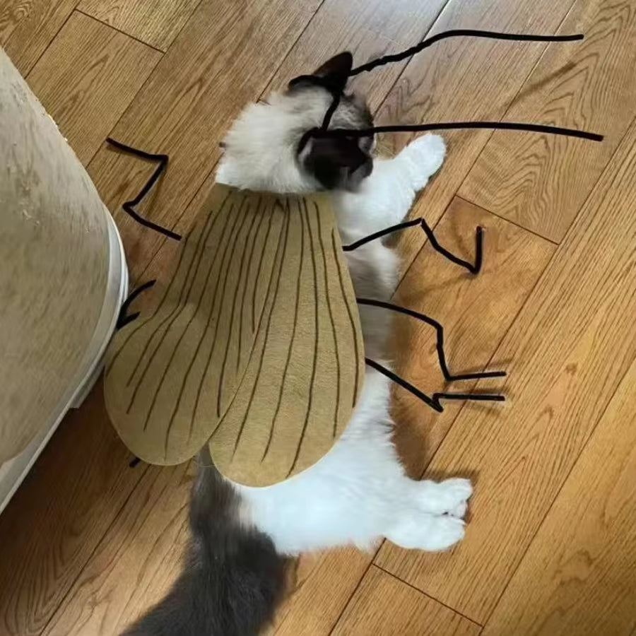 Get Your Furry Friend Ready for Halloween with This Hilarious Handmade Cockroach Costume! 🐾🎃 #PetCostume #HalloweenFun