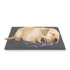SPF Pet Cooling Mat - Grey