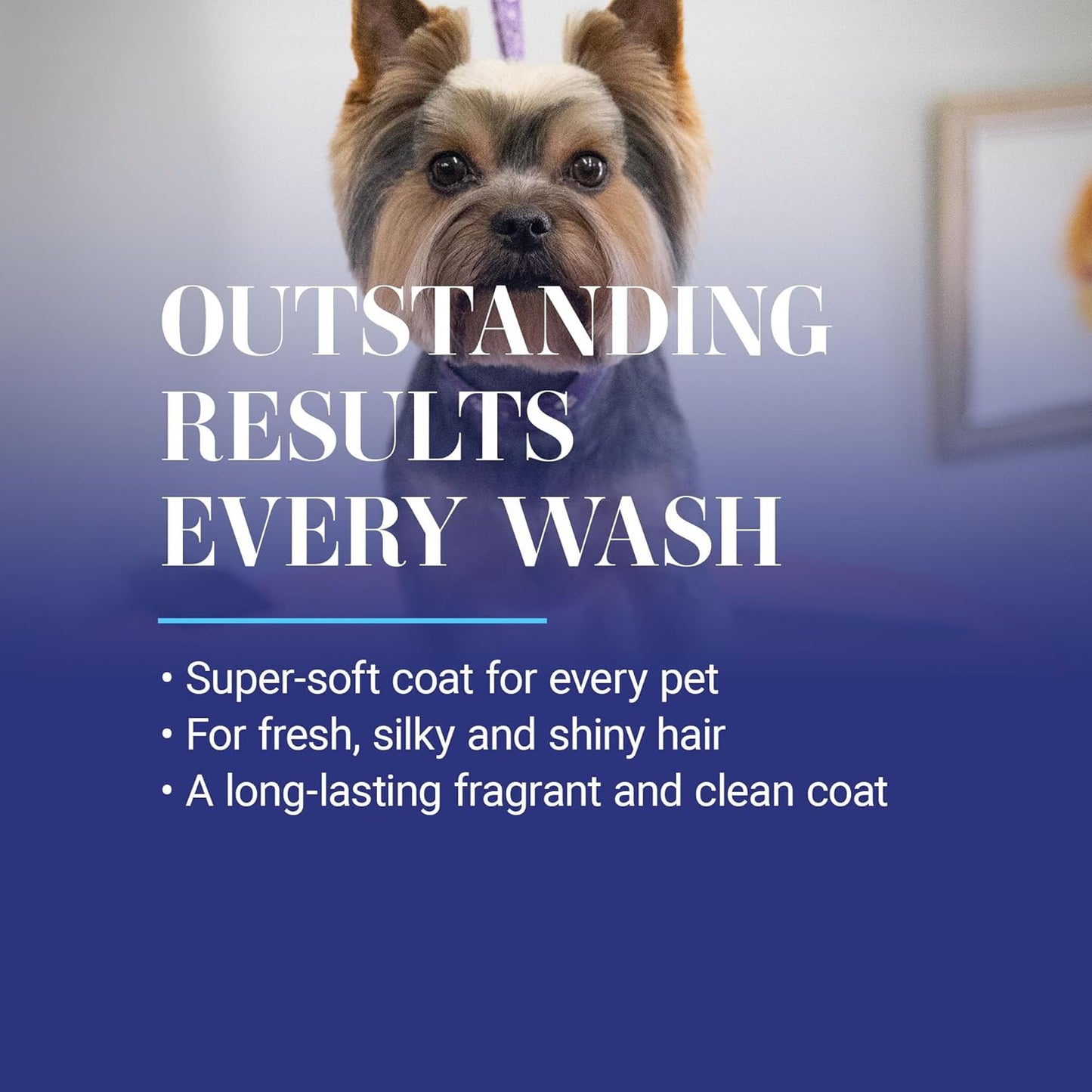Smartwash50 Ultra Concentrated Dog Shampoo, Makes up to 50 Bottles, Groom like a Professional, Delightfully Fragranced, Suitable for All Coats, Made in the USA (Tropical - Breeze)