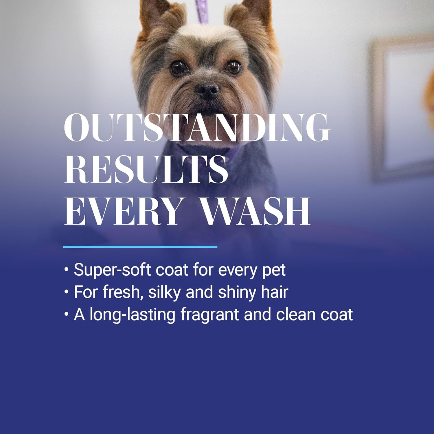Smartwash50 Ultra Concentrated Dog Shampoo, Makes up to 50 Bottles, Groom like a Professional, Delightfully Fragranced, Suitable for All Coats, Made in the USA (Tropical - Breeze)