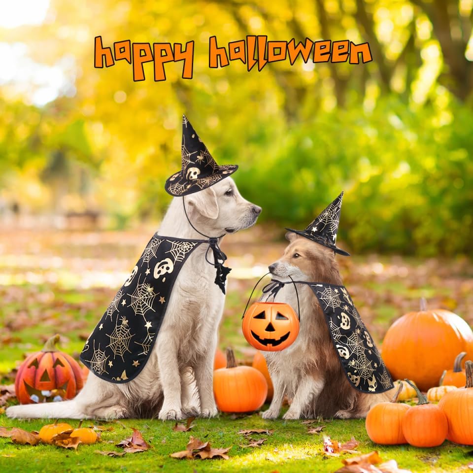 Unleash the Fun: Adorable Pet Show Costume Cape & Hat for Spooktacular Halloween and Everyday Adventures! 🎃🐾✨