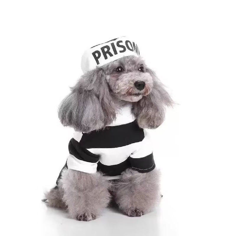 Unleash Your Pet's Inner Rebel with This Adorable Prisoner Costume! 🐾🚔