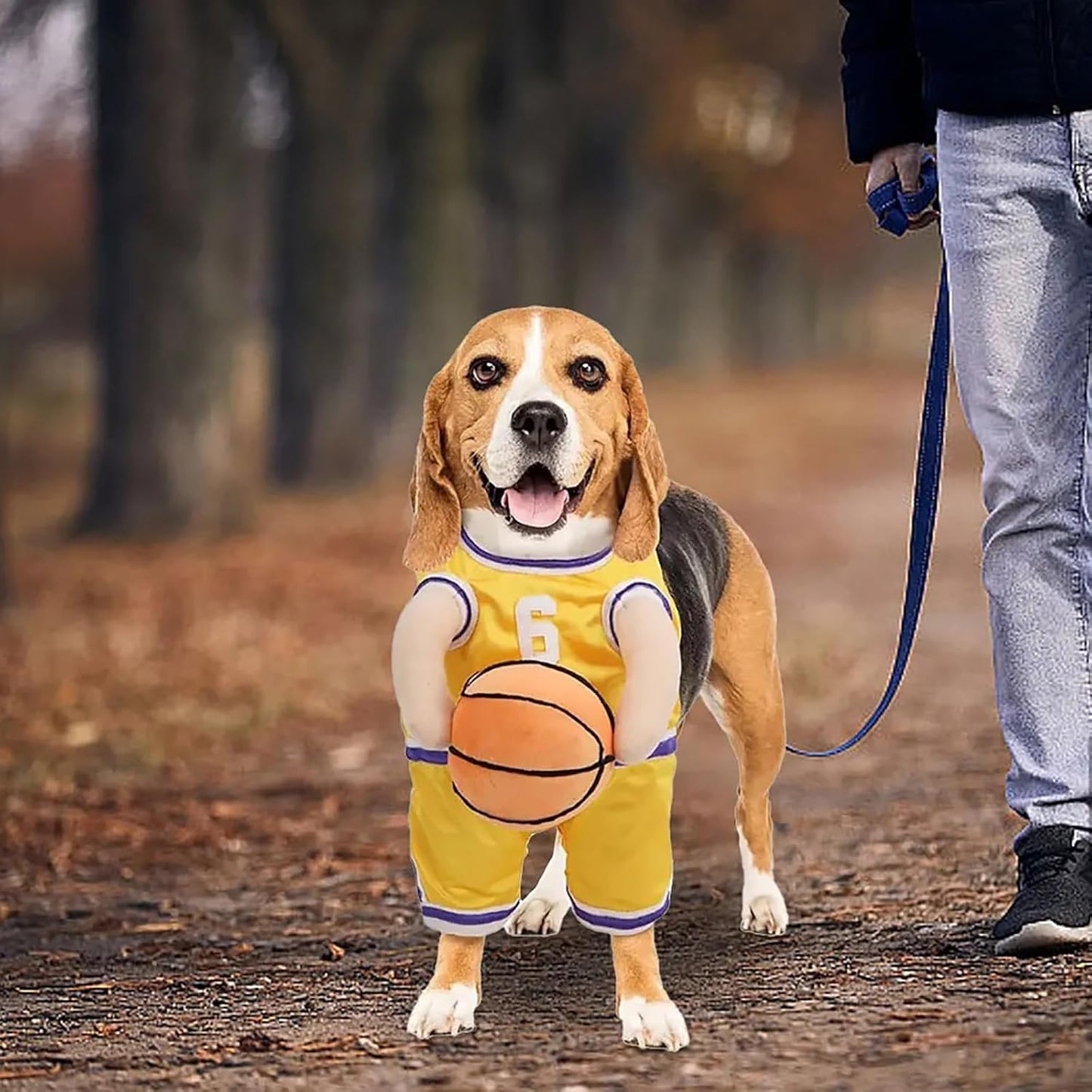 Get Your Pup in the Game with This Adorable Dog Basketball Player Costume! Perfect for Halloween and Playful Dress-Up! 🏀🐶✨