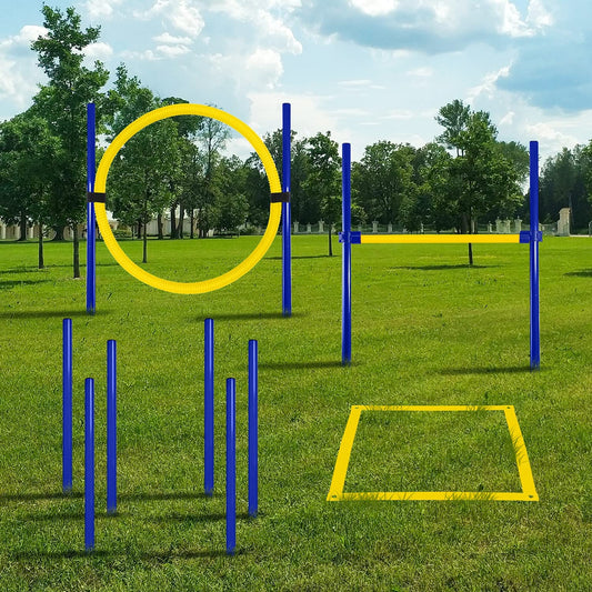 Ultimate Dog Agility Training Kit - Fun Obstacle Course for Active Pets (Bright Yellow)