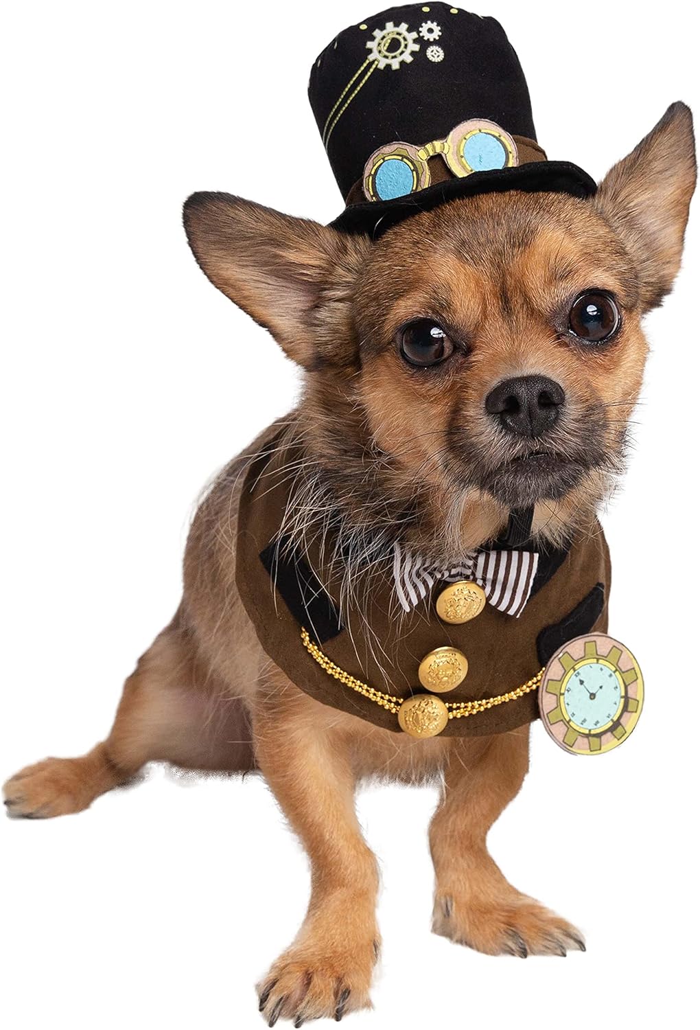 Transform your furry friend into a steampunk sensation with this adorable hat and collar set! Perfect for Halloween, Christmas, parties, and unforgettable photoshoots! 🎩🐾 #PetCostume #SteampunkStyle #FurryFashion