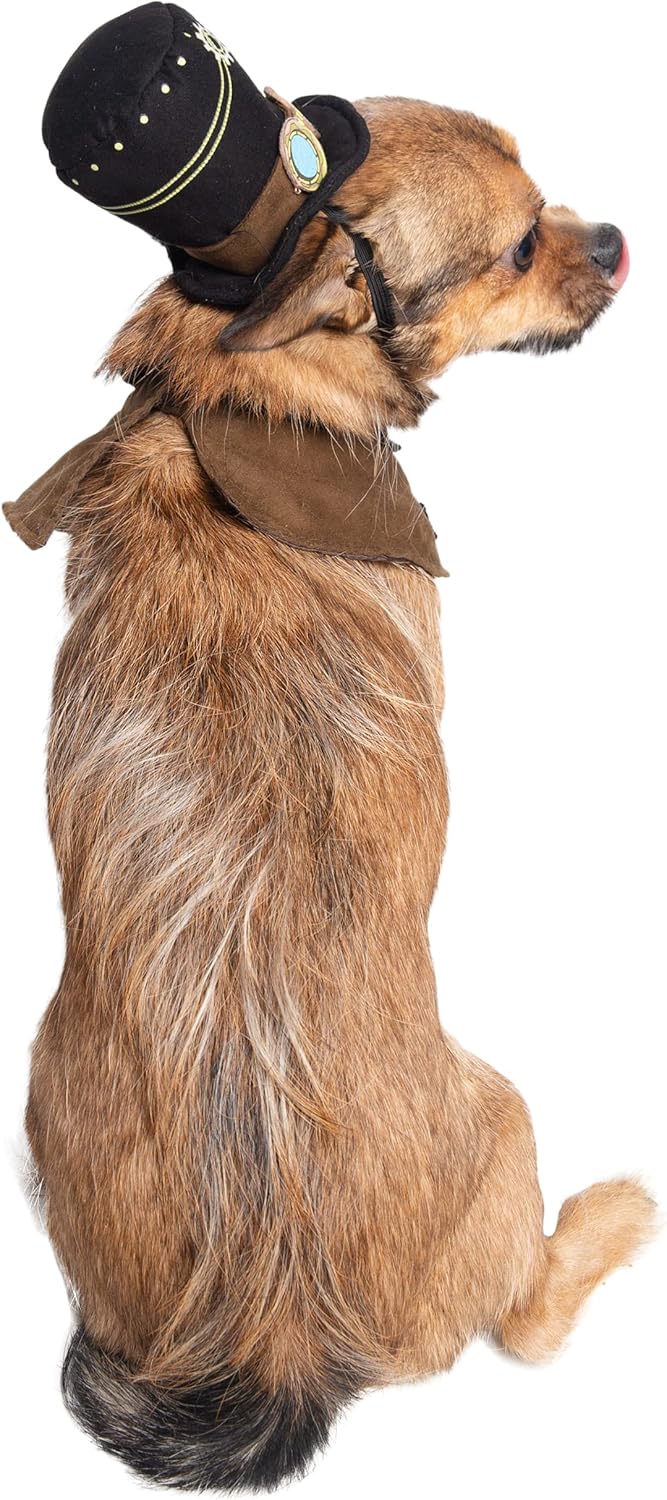 Transform your furry friend into a steampunk sensation with this adorable hat and collar set! Perfect for Halloween, Christmas, parties, and unforgettable photoshoots! 🎩🐾 #PetCostume #SteampunkStyle #FurryFashion