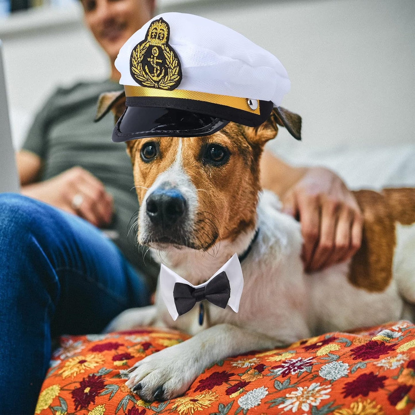 Ahoy, furry friends! 🐾⚓️ Dress your pup or kitty in this adorable Sea Sailor Costume Set complete with a stylish hat and necktie/bowtie! Perfect for Halloween, cosplay parties, and unforgettable photo ops! 🌊🐶🐱 #PetCostume #SailorStyle #HalloweenReady