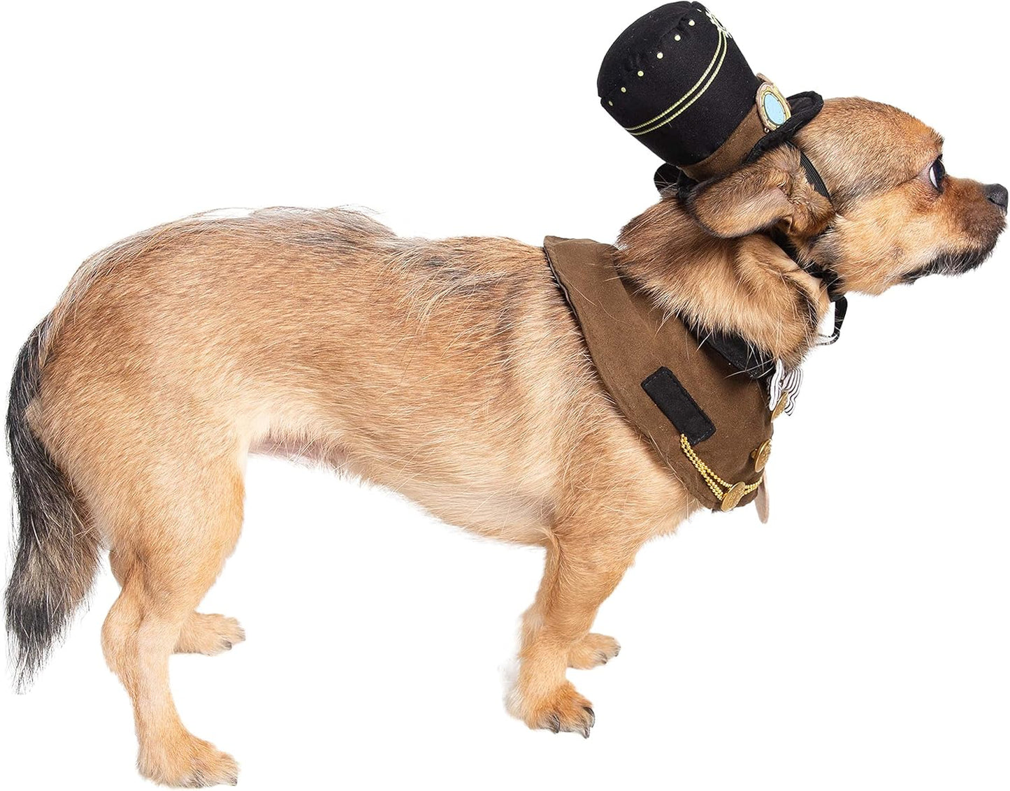 Transform your furry friend into a steampunk sensation with this adorable hat and collar set! Perfect for Halloween, Christmas, parties, and unforgettable photoshoots! 🎩🐾 #PetCostume #SteampunkStyle #FurryFashion