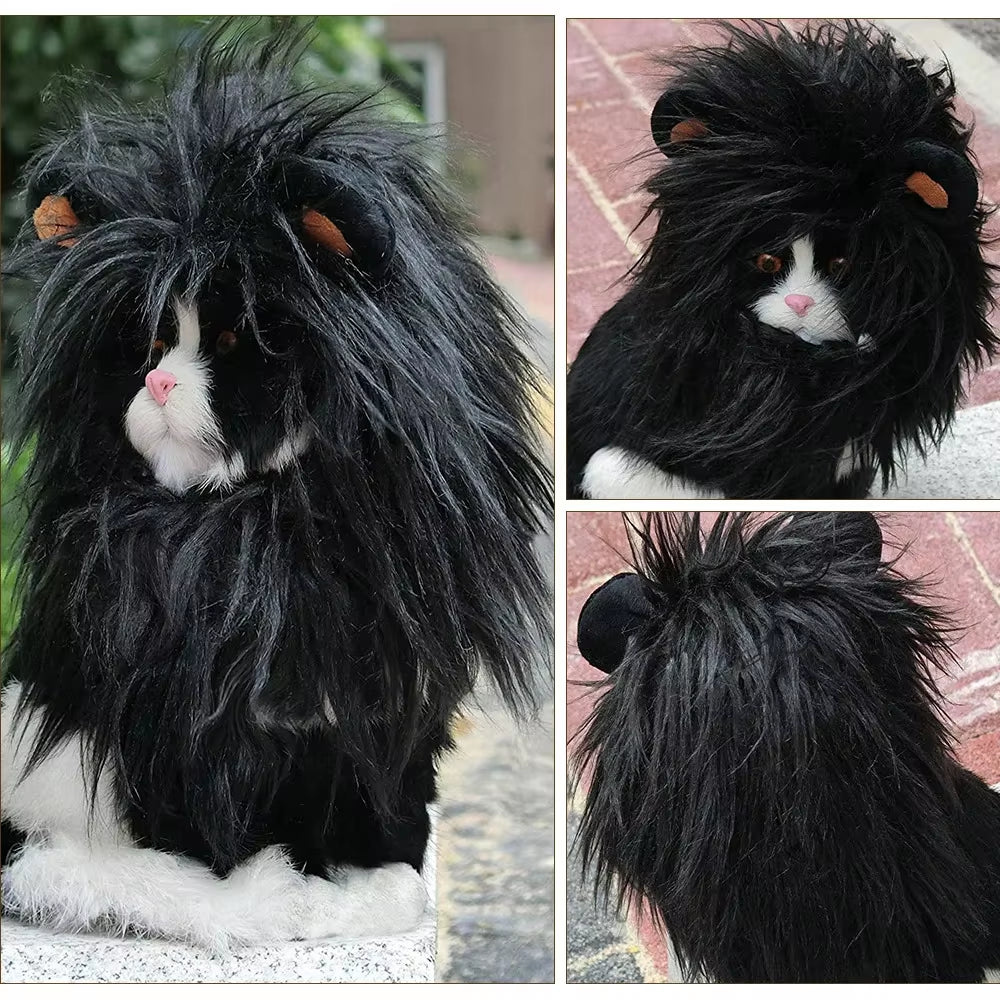 Transform your pup into a roaring lion this Halloween with our adorable lion headgear costume! Perfect for small dogs and even cats! 🦁🎃 #PetCostume #HalloweenFun