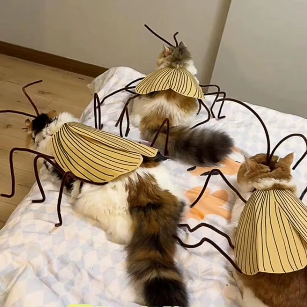 Get Your Furry Friend Ready for Halloween with This Hilarious Handmade Cockroach Costume! 🐾🎃 #PetCostume #HalloweenFun