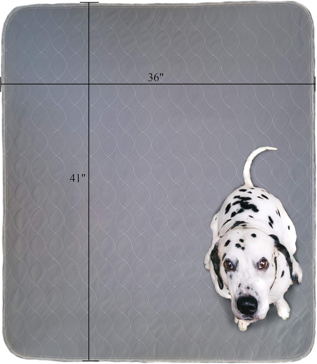Washable Pee Pads for Dogs | Non-Slip Quick Dry| Fast Absorbing Wee Mat for Playpen Housebreaking Indoor Potty Training Whelping Incontinence Travel (2-Pack 36X41In, Grey Extra Padded)