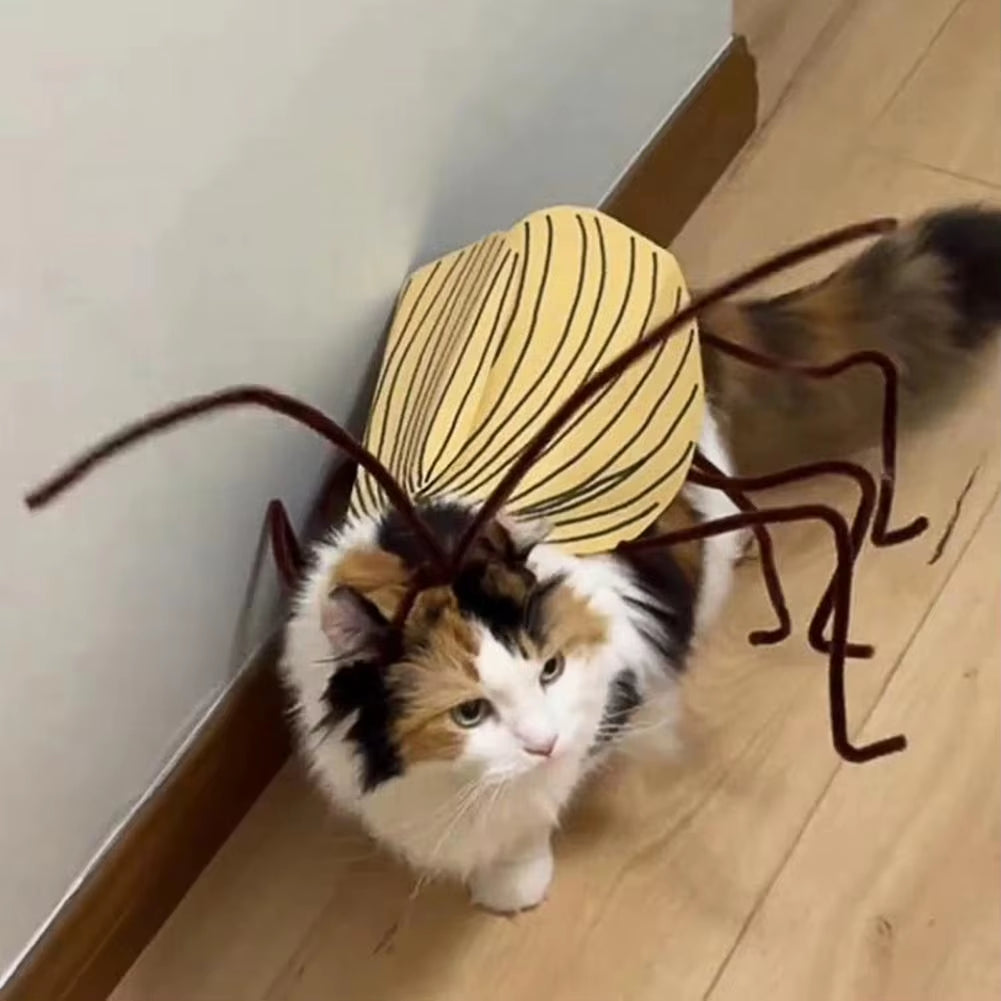 Get Your Furry Friend Ready for Halloween with This Hilarious Handmade Cockroach Costume! 🐾🎃 #PetCostume #HalloweenFun