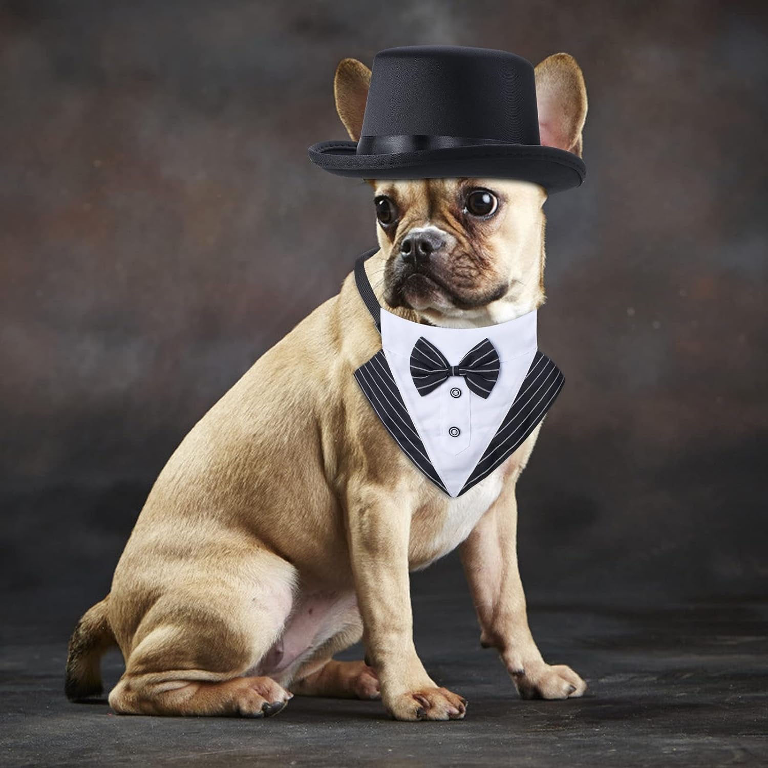 Get Your Furry Friend Ready to Shine with Our 2-Piece Formal Pet Accessory Set! 🎩🐾 Perfect for Birthdays, Graduations, and Halloween! 🐶🐱 #PetFashion #FormalWear