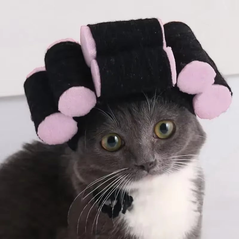 Get Your Pup Party-Ready with This Adorable Dog Hair Costume Wig & Cozy Hat! Perfect for Cats & Dogs! 🐾🎉
