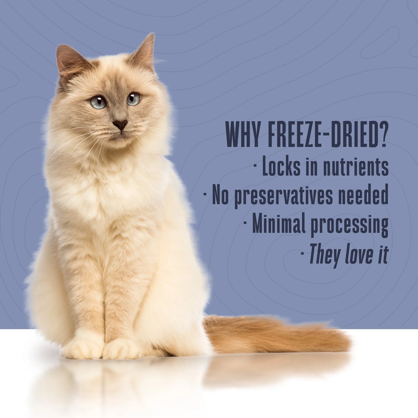 Living Treats – Healthy Skin Probiotic Snack for Cats, 1Oz