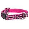 Premium Pet Guardian Gear: 5/8″ Argyle Pink and Black Martingale Dog Collar - Sanctum Paws and Fangs