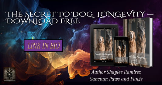 Complete Dog Longevity Guide