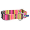 Premium Pet Guardian Gear: Bonnie Buckle Martingale Dog Collar – EarthStyle - Sanctum Paws and Fangs
