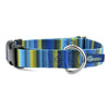 Premium Pet Guardian Gear: Clyde Buckle Martingale Dog Collar – EarthStyle - Sanctum Paws and Fangs