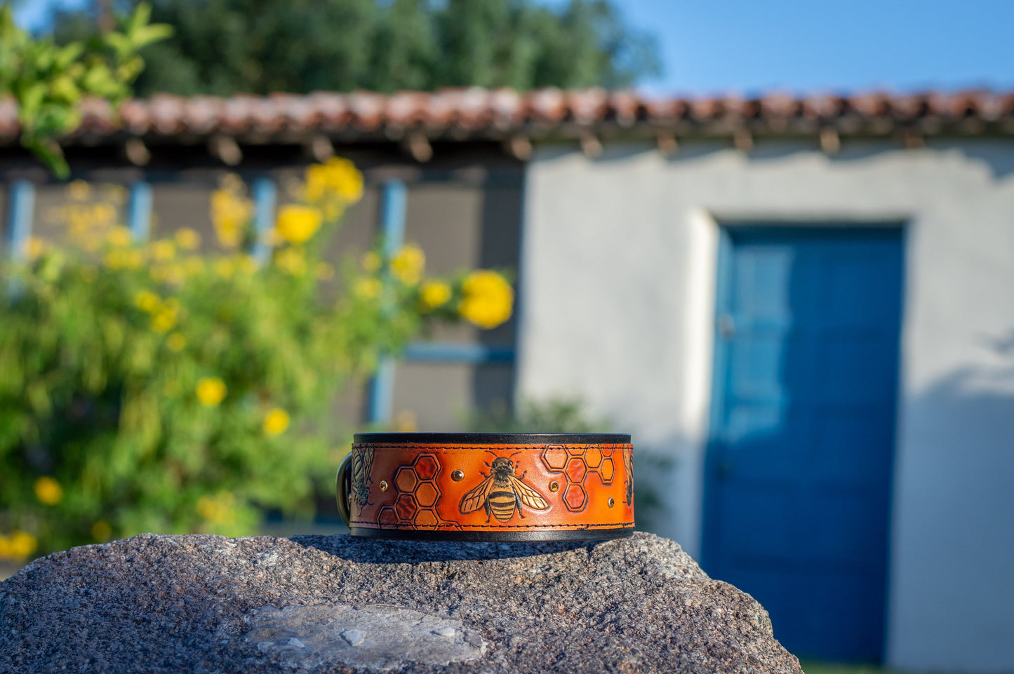 The Honey Bee Dog Collar