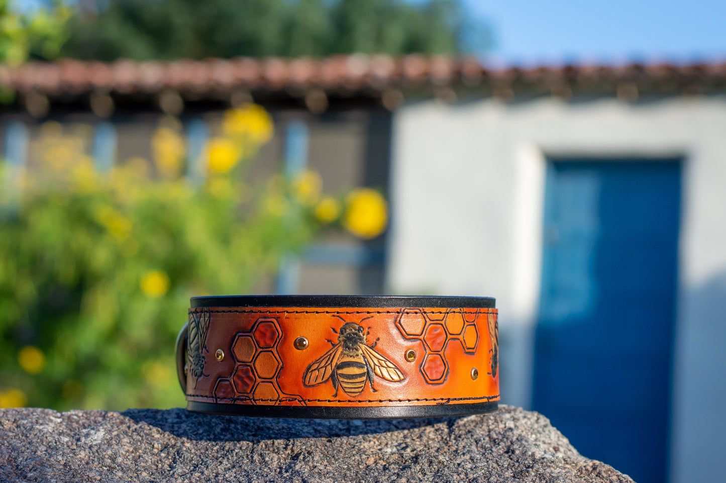 The Honey Bee Dog Collar