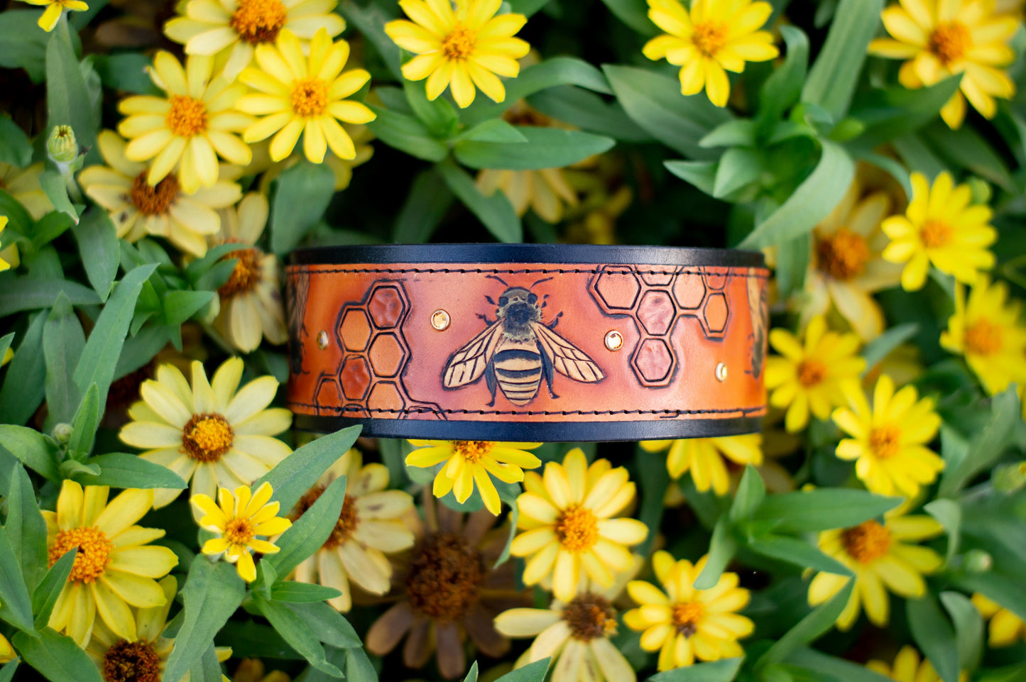 The Honey Bee Dog Collar