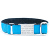 Premium Pet Guardian Gear: 1″ Grosgrain Jingle Free Tag Dog Collar - Sanctum Paws and Fangs