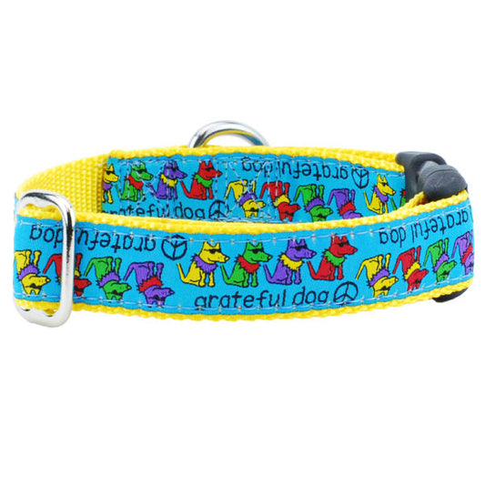 Premium Pet Guardian Gear: 1″ Grateful Dog Teddy The Dog Essential Dog Collar - Sanctum Paws and Fangs
