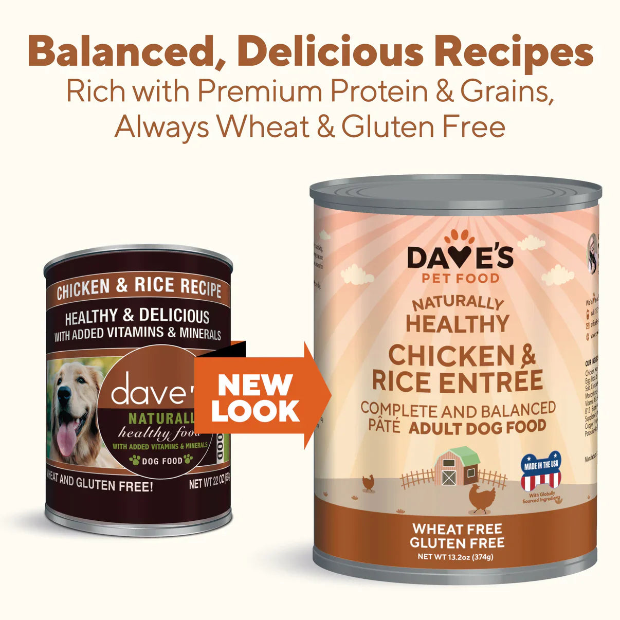Daves Naturally Healthy Chicken & Rice Recipe Wet Dog Food (13.2oz)