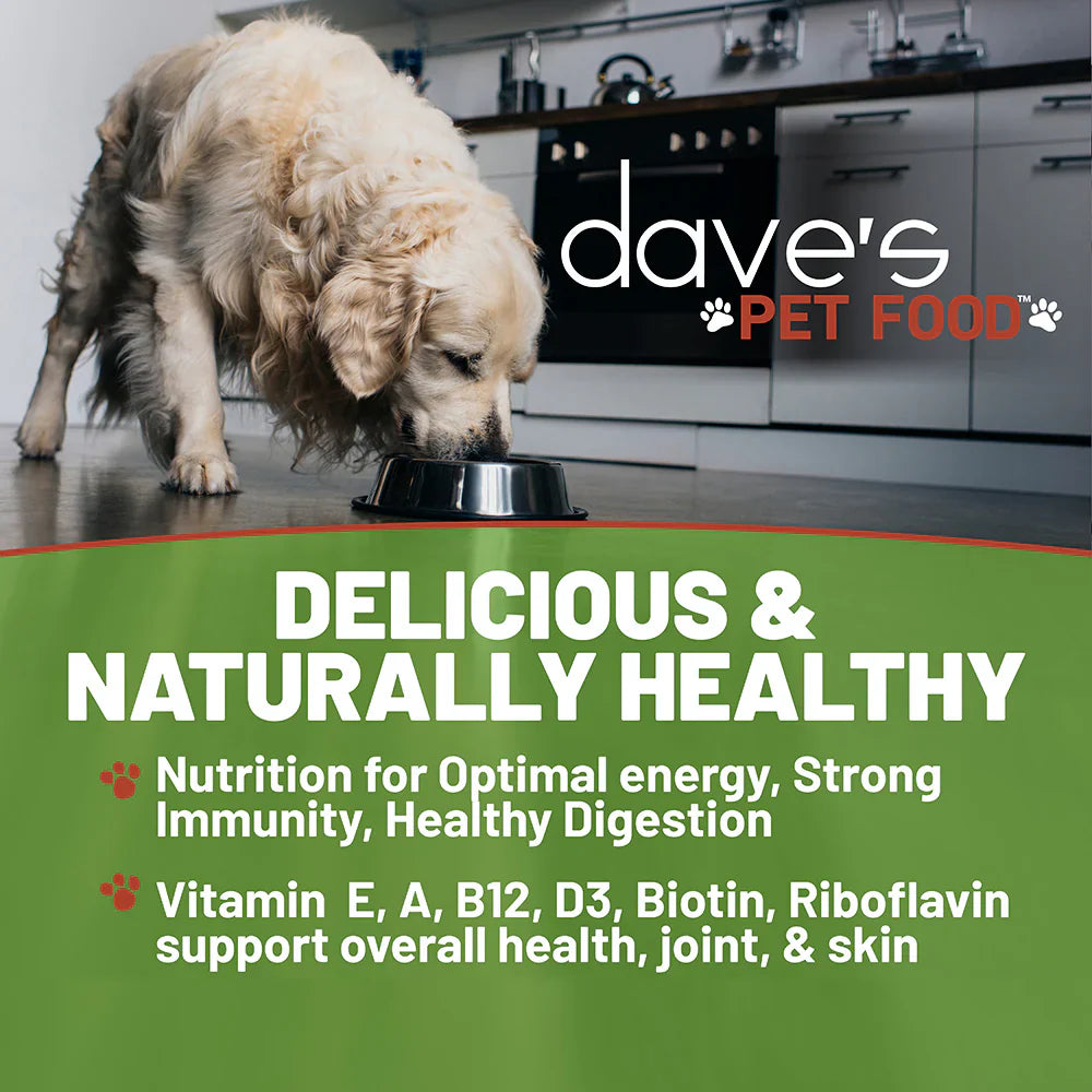 Daves Naturally Healthy Chicken & Rice Recipe Wet Dog Food (13.2oz)