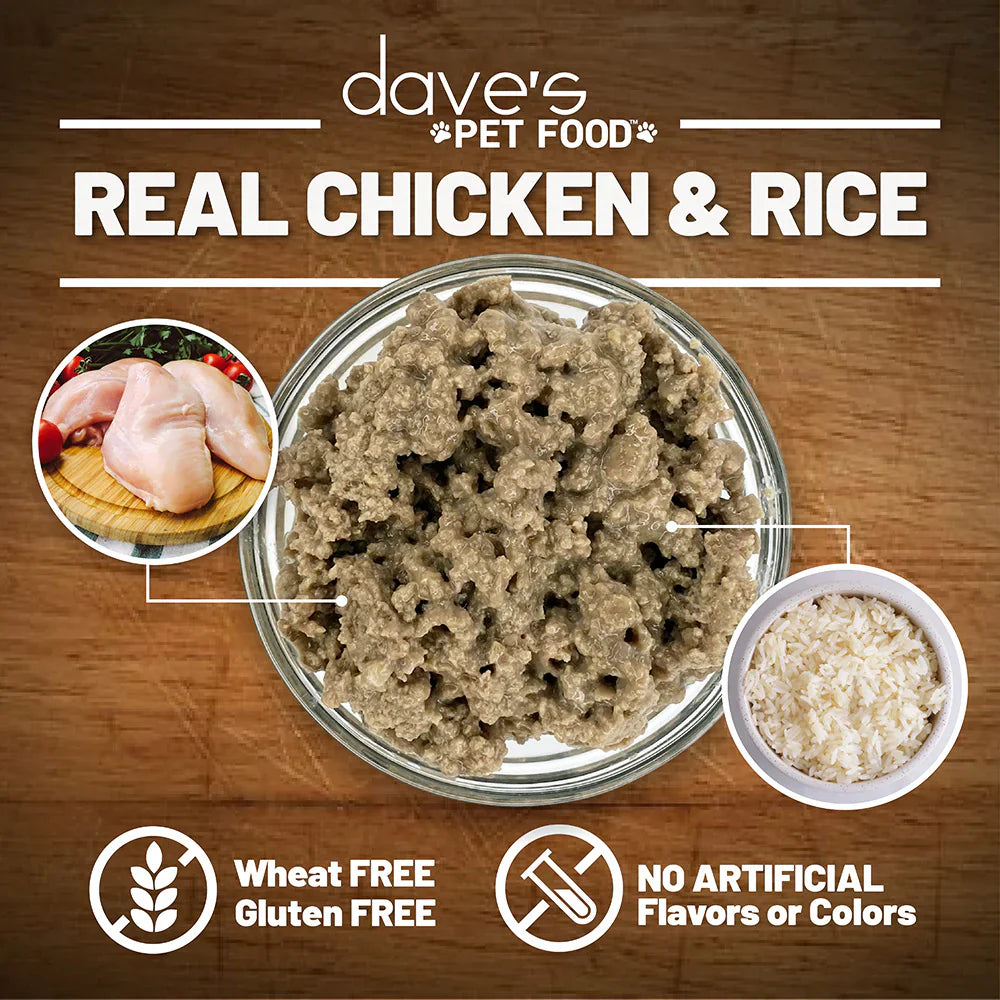 Daves Naturally Healthy Chicken & Rice Recipe Wet Dog Food (13.2oz)