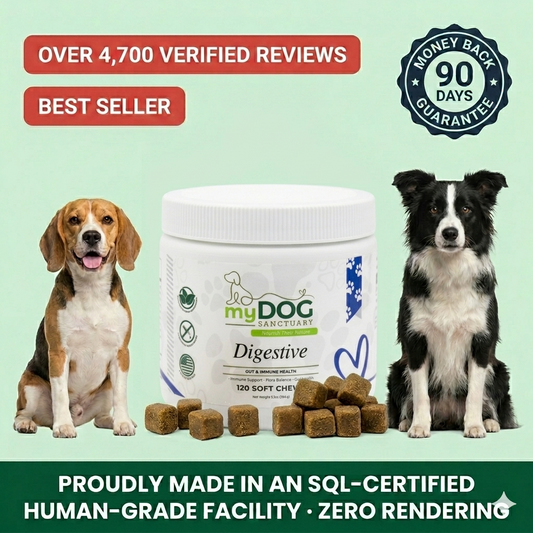 Gut Garden Digestive Support Chews