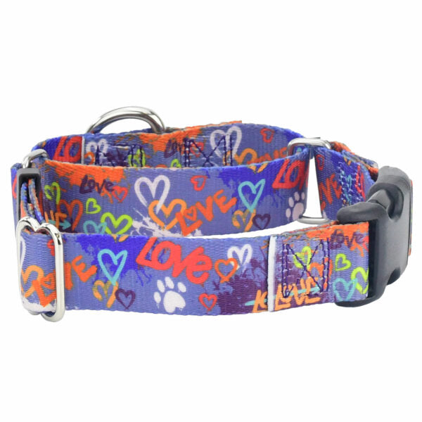 Love Graffiti Blue Buckle Martingale Dog Collar  EarthStyle