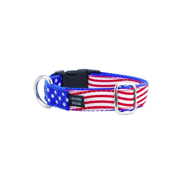 Premium Pet Guardian Gear: 1″ Stars and Stripes Essential Buckle Martingale Dog Collar - Sanctum Paws and Fangs