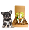 Premium Pet Guardian Gear: 4-FURRY DOGS *SENSITIVE GROOMING KIT - Sanctum Paws and Fangs